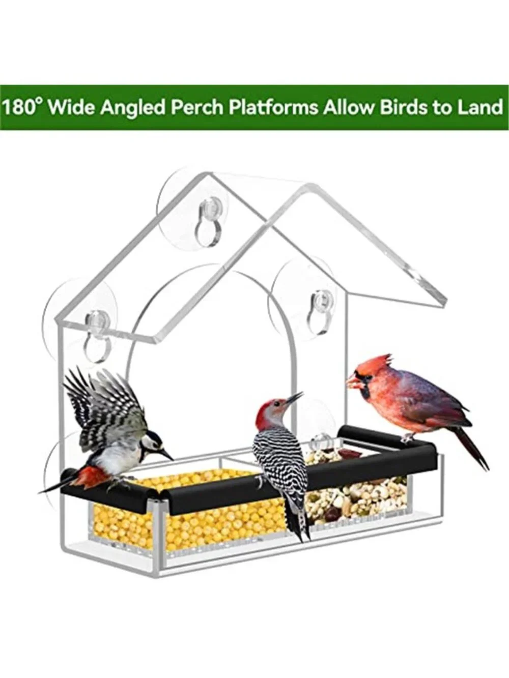 New Clear Window Bird Feeder with 5 Extra Strong Suction Cups, DY-SKTY Sturdy